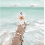 • coastal •