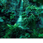 Save the rainforests!!!