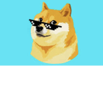 Doge fan for life
