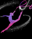 Elite motion academy