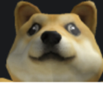 DOGE ARMY (-1-)