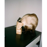 Princess Nutella