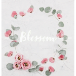 - Queen blossom -