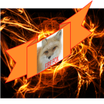 The Fire Foxes