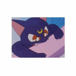 …..,.,,?