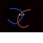 B D P official