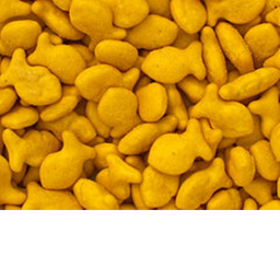 Goldfish HQ