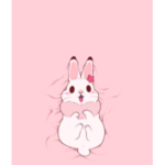 Bunnys Aesthetic