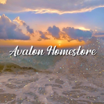 avalon homestore