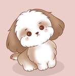 Holly DA DOGE