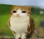 SebSase Clan