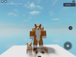 Capncorgi group