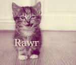 rawr fg