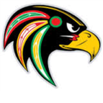 Robloxian Football League Florida Falcons