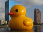 TEH DUCKIES