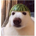 i give robux when i have