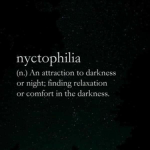 /nyctophilla