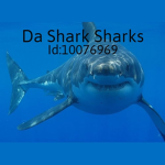 Da Shark Sharks