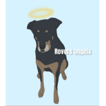 rovers angels