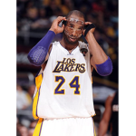 The black mamba fan group