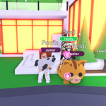 The Official Buba Place