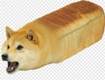 Doge Adventures. Food Awakenings