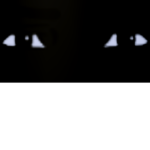UNFI