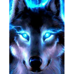 Wolf...... club..............