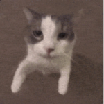 AffAvery