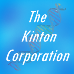 The Kinton Corporation