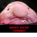 Soggy Sacks