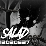 A salad
