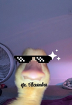 Alexandra liebt otter