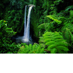 NatureSquad