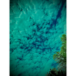 Sky Blue Brothers