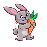 BIG CHUBBY RABIT