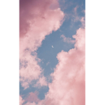Pink Skies Forever