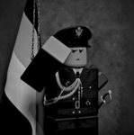 Grestin Secret Security & Private Medical Services