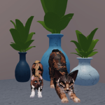 Butterscotch Fan Club