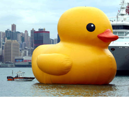 ducks mall