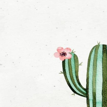 [SUMMER] cactus art Roblox decal