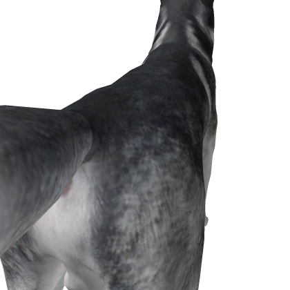 Husky