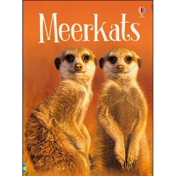 The Meerkats Burrow (NEW MAP EXTENTION UPDATE COMI