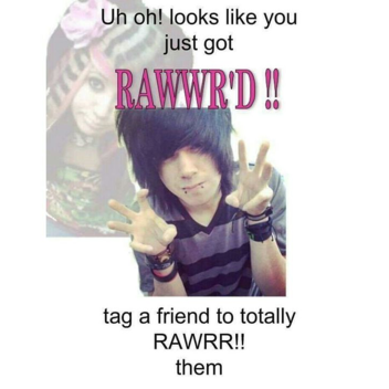 ^,..,^ 