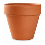 The garden pots