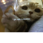 Itcouldbe_kolven