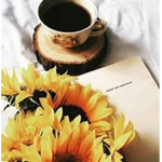 Sunflower Authors