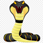 Cobra Venom Army