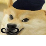 DOGE BUSINESS