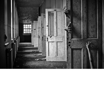 The Asylum